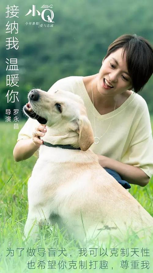 怎么购买SSN卡
